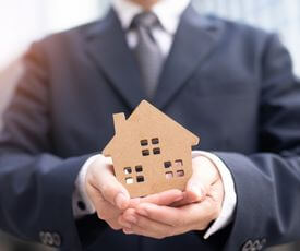 The magnate properties